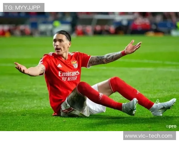 努涅斯的崛起与挑战：从新星到顶级前锋的蜕变之路