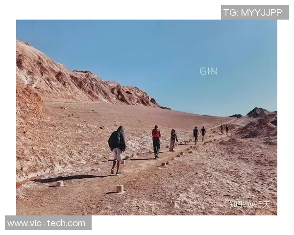 智利大学与巴勒斯坦人之间的文化交流与冲突探讨