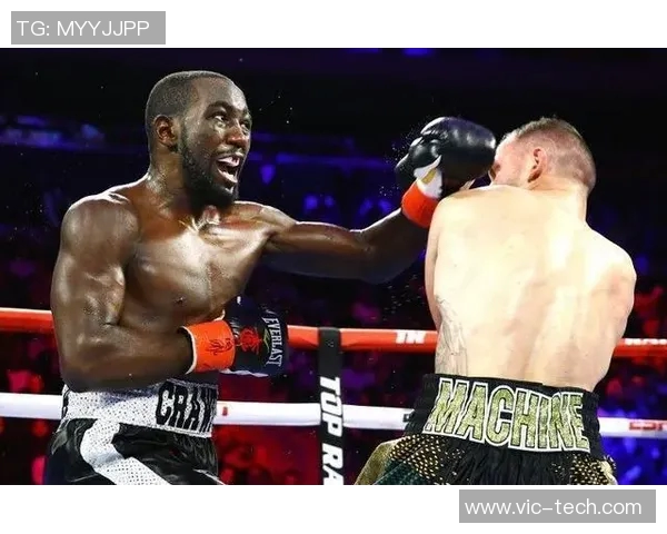 泰森与小罗伊琼斯经典对决精彩集锦回顾与分析