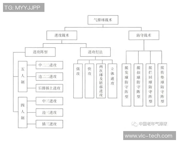 深入分析成都排球队的节奏打法与战术特点探讨